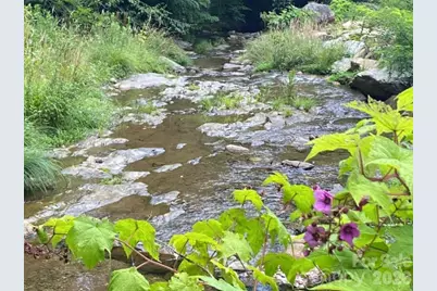 214 Davis Ridge Road, Banner Elk, NC 28604 - Photo 39