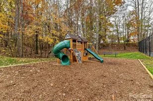 103 Spartina Ct, Mooresville, NC 28117 - Photo 47