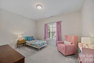 43 Burlington Ln, Fletcher, NC 28732 - Photo 19