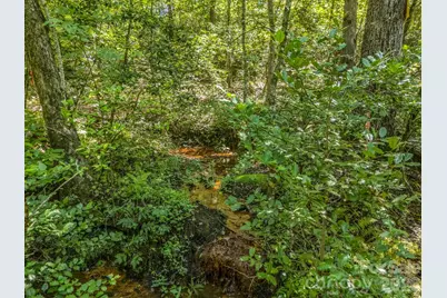 231 Wandering Bear Way, Lake Lure, NC 28746 - Photo 23