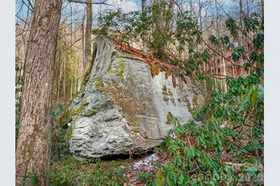 Lt 617A Lost Mine Trail, Brevard, NC 28712 - Photo 9