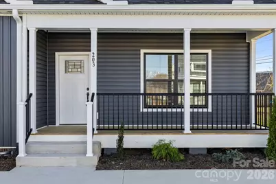 203 Southern Charm Road, Arden, NC 28704 - Photo 3