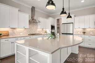 12903 Sandpiper Grove Ct, Charlotte, NC 28278 - Photo 13