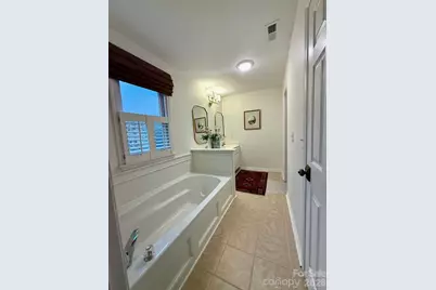 1049 Peachtree Lane, Fort Mill, SC 29715 - Photo 39