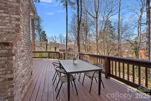 9003 Stourbridge Dr, Huntersville, NC 28078 - Photo 33