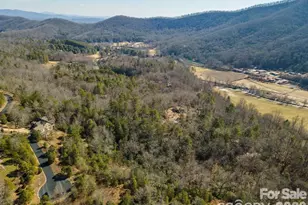 9999 Woodhen Way, Horse Shoe, NC 28742 - Photo 15