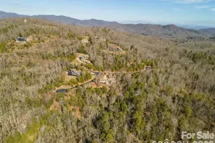 9999 Woodhen Way, Horse Shoe, NC 28742 - Photo 17