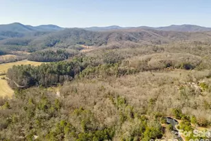 9999 Woodhen Way, Horse Shoe, NC 28742 - Photo 11