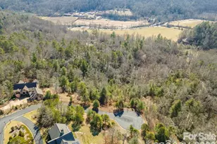 9999 Woodhen Way, Horse Shoe, NC 28742 - Photo 13