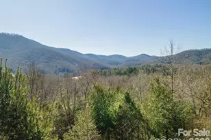 9999 Woodhen Way, Horse Shoe, NC 28742 - Photo 9