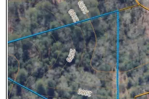 9999 Woodhen Way, Horse Shoe, NC 28742 - Photo 3