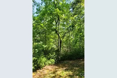 0 Hilltop None #41, Lake Lure, NC 28746 - Photo 15