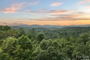 219 Kentwood Ln, Pisgah Forest, NC 28768 - Photo 33