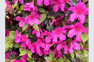 6421 Skyline Drive, Charlotte, NC 28269 - Photo 35