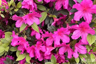 6421 Skyline Dr, Charlotte, NC 28269 - Photo 35