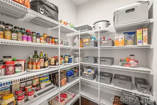 4307 Island Fox Ln, Denver, NC 28037 - Photo 15