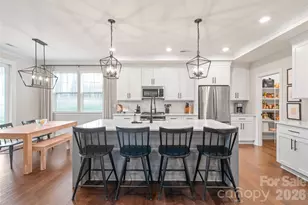 4307 Island Fox Ln, Denver, NC 28037 - Photo 9