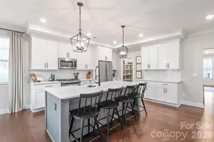 4307 Island Fox Ln, Denver, NC 28037 - Photo 11