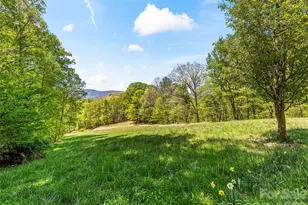 110 Mailon King Rd, Leicester, NC 28748 - Photo 29