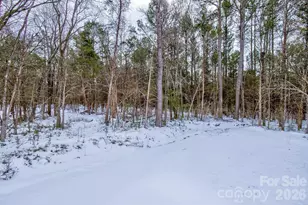 974 Old York Rd, Chester, SC 29706 - Photo 5