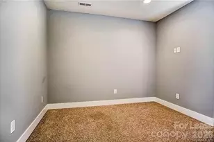 3841 Willow Green Pl, Charlotte, NC 28206 - Photo 19