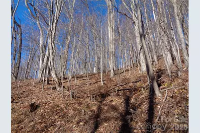 00 Listening Cove #41, Clyde, NC 28721 - Photo 9