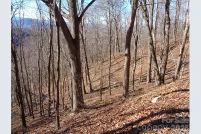 00 Listening Cove #41, Clyde, NC 28721 - Photo 3