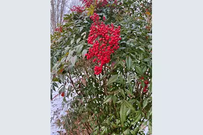 306 US Hwy 70A E Highway E, Hildebran, NC 28637 - Photo 5