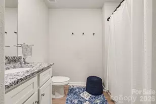 3516 Clover Vly Dr, Gastonia, NC 28052 - Photo 27