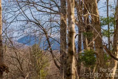 13 Cambridge Drive, Candler, NC 28715 - Photo 7