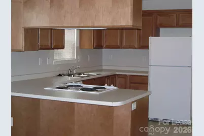 163 Clusters Circle, Mooresville, NC 28117 - Photo 15