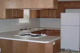 163 Clusters Cir, Mooresville, NC 28117 - Photo 15