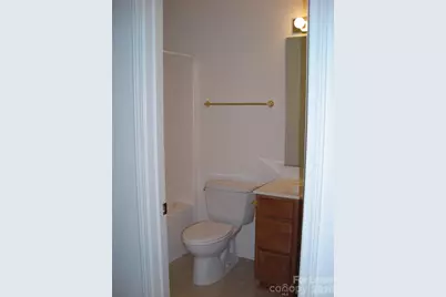 163 Clusters Circle, Mooresville, NC 28117 - Photo 11