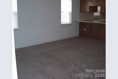 163 Clusters Circle, Mooresville, NC 28117 - Photo 3