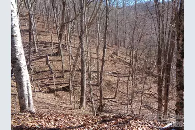 000 Listening Cove #42, Clyde, NC 28721 - Photo 5