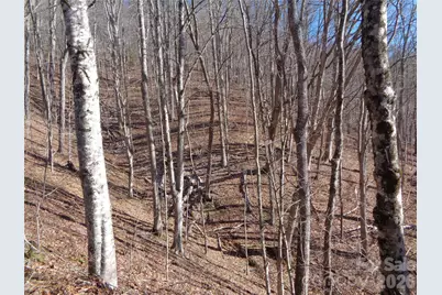 000 Listening Cove #42, Clyde, NC 28721 - Photo 9