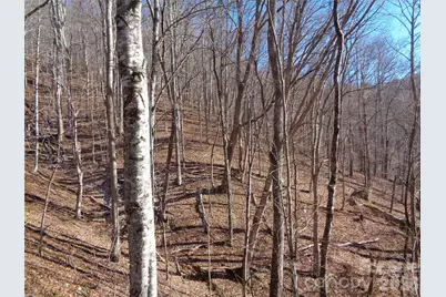 000 Listening Cove #42, Clyde, NC 28721 - Photo 3