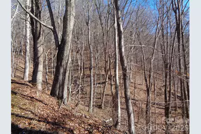 000 Listening Cove #42, Clyde, NC 28721 - Photo 13