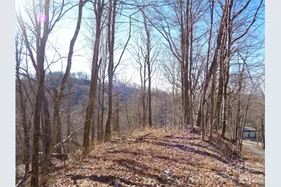 000 Listening Cove #42, Clyde, NC 28721 - Photo 1