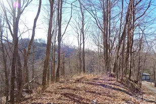 000 Listening Cove, Clyde, NC 28721 - Photo 1