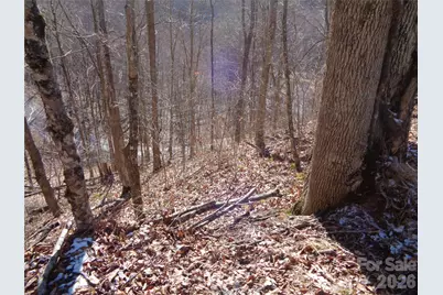 000 Listening Cove #42, Clyde, NC 28721 - Photo 7