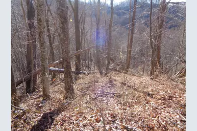 000 Listening Cove #42, Clyde, NC 28721 - Photo 11