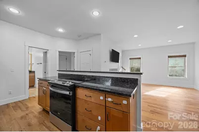 162 Deaver Street, Asheville, NC 28806 - Photo 9