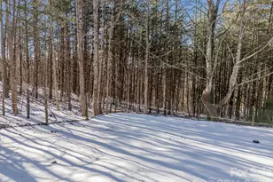 156 Carpenters Knob Dr, Lawndale, NC 28090 - Photo 43