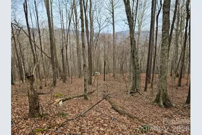 000 Slippery Rock Lane, Waynesville, NC 28785 - Photo 5