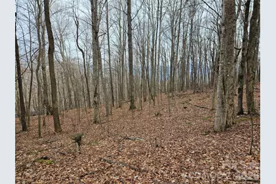 000 Slippery Rock Lane, Waynesville, NC 28785 - Photo 7