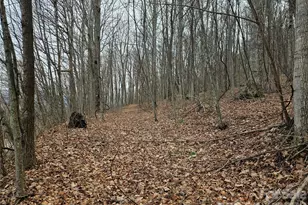 000 Slippery Rock Ln, Waynesville, NC 28785 - Photo 1