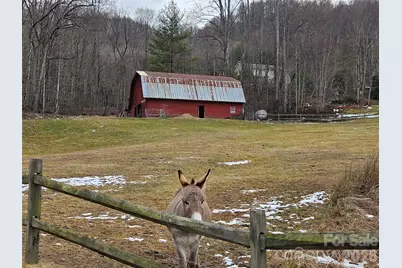 000 Slippery Rock Lane, Waynesville, NC 28785 - Photo 13