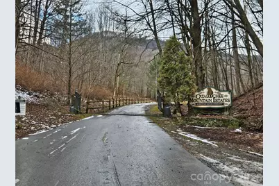 000 Slippery Rock Lane, Waynesville, NC 28785 - Photo 9