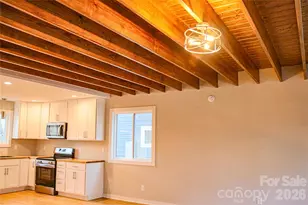 110 Lager Ln, Asheville, NC 28806 - Photo 39